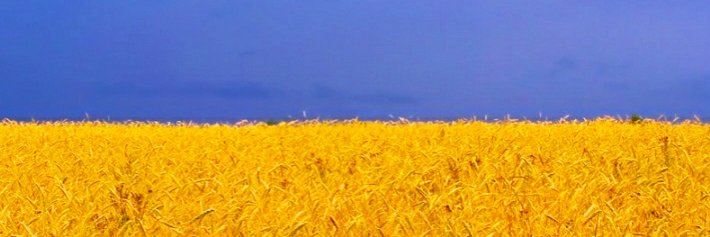 masokost's profile banner image