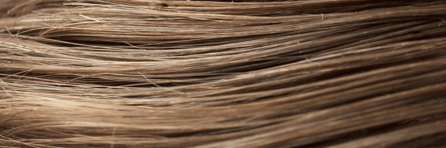 SPC_tsusyo's profile banner image