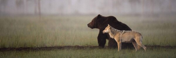 JessicaLeeEllis Profile Banner