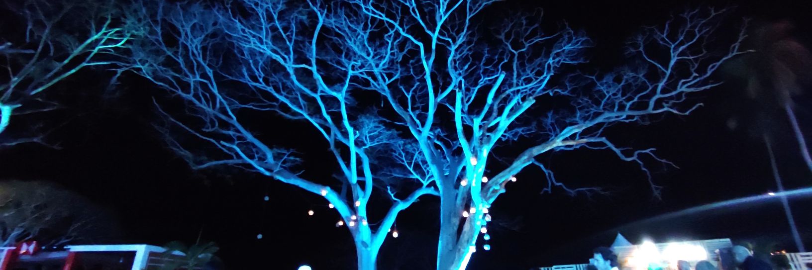 Iván Martínez Aguirre banner