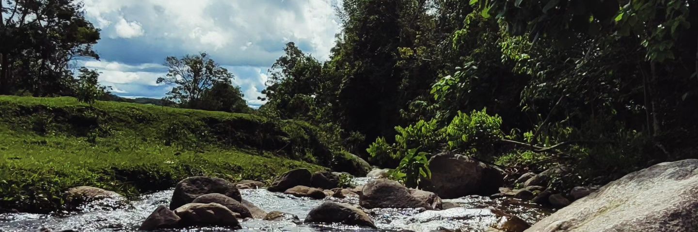 babibrgmn's profile banner image