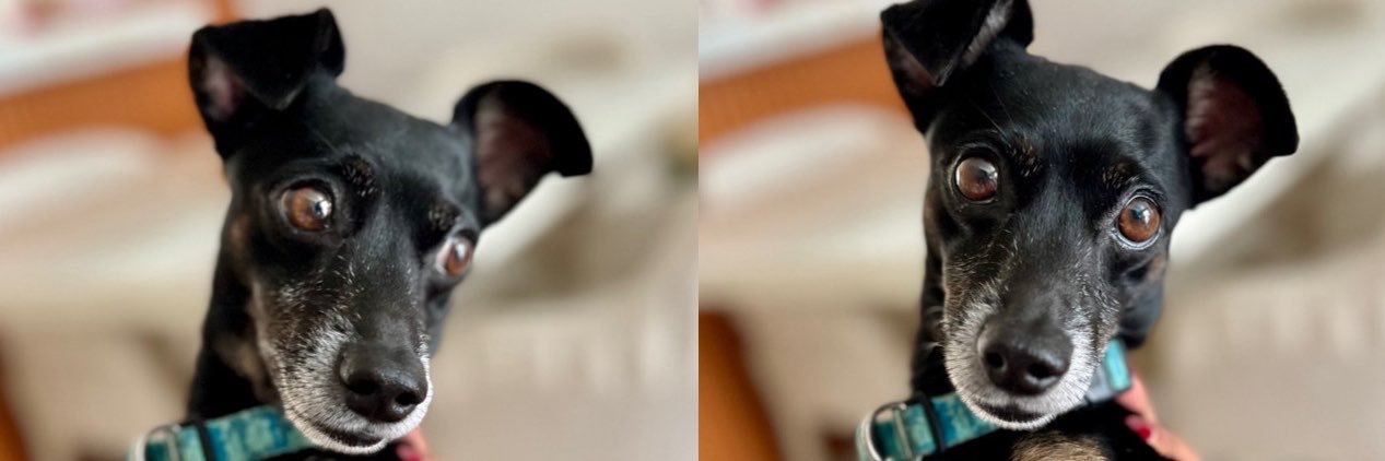 ReinaSalcedo's profile banner image