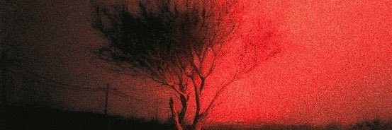 akeosu_'s profile banner image