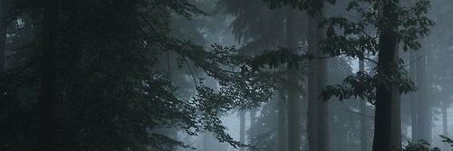 ajsajames's profile banner image