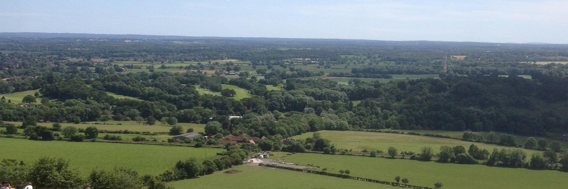 WPLSurrey's profile banner image