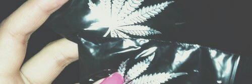 Zoé banner