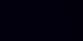 vanessa banner