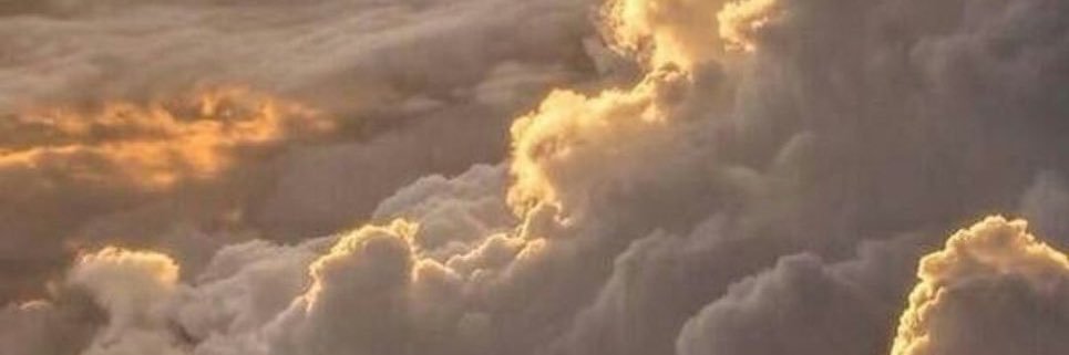 _rossoliveros's profile banner image