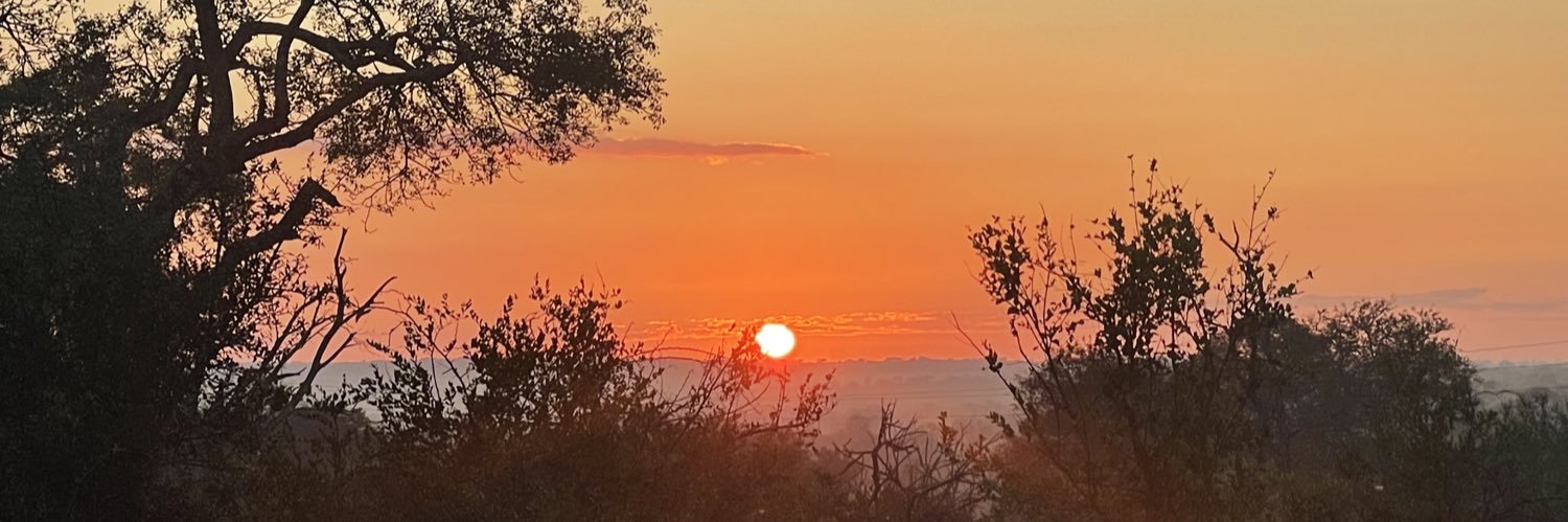 TTBird79's profile banner image