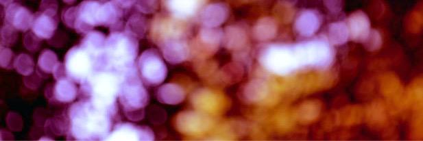 Manon Derdevet banner