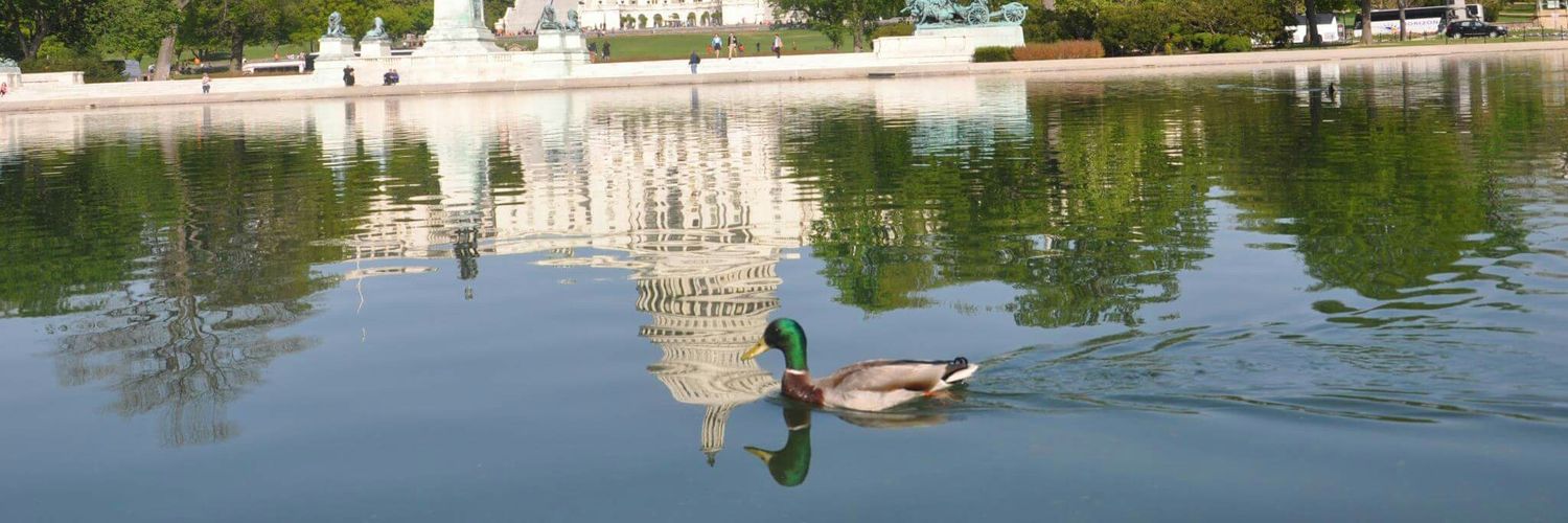 AndreittaEsc's profile banner image