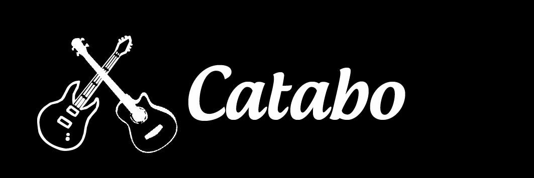 catabooficial's profile banner image
