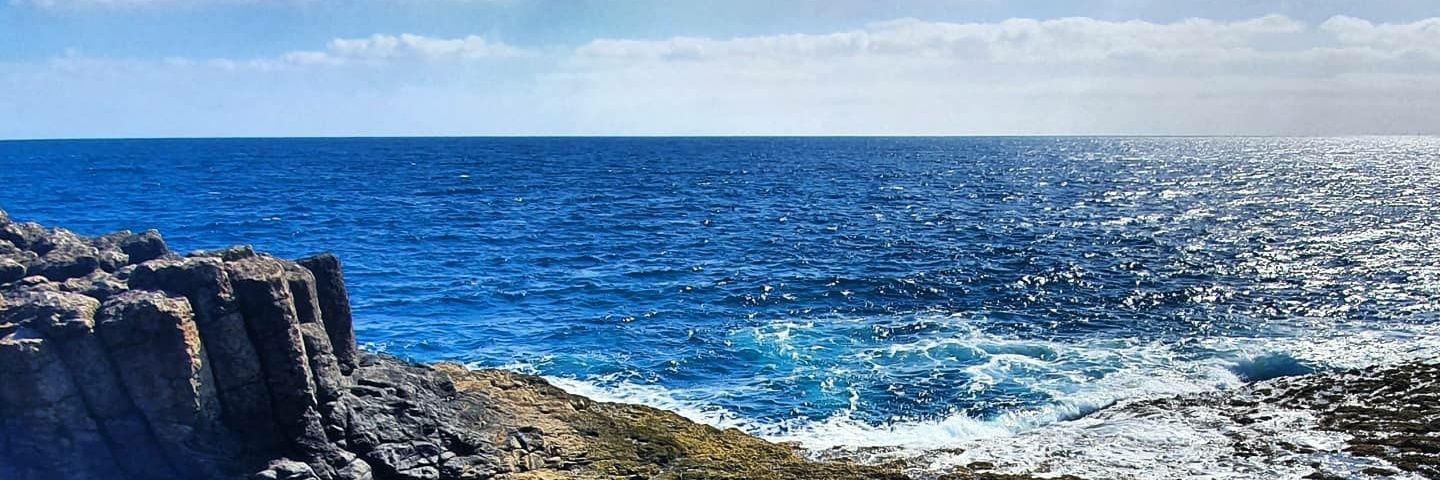 Samuel Reguena banner