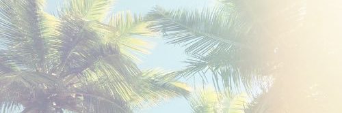 lafreeed's profile banner image