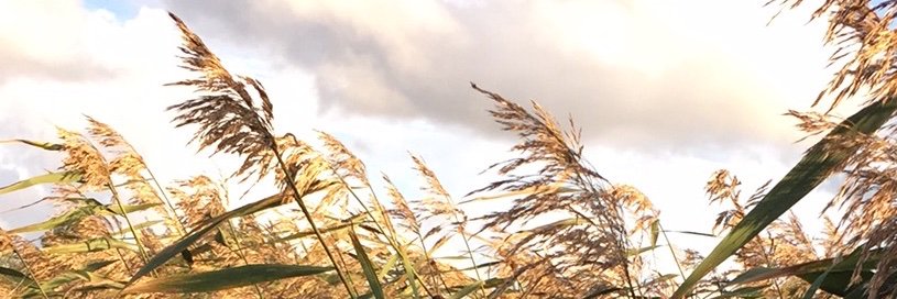 ha_ka73's profile banner image