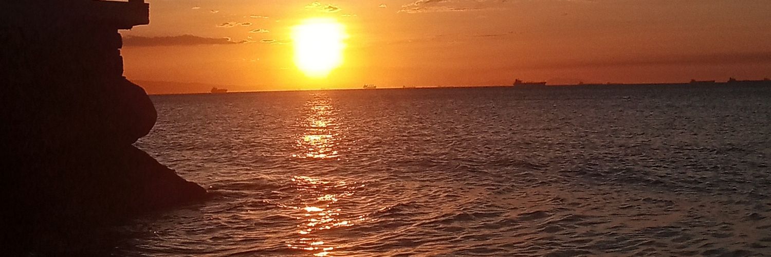 li79110977's profile banner image