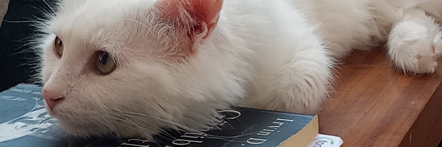 queennoise's profile banner image
