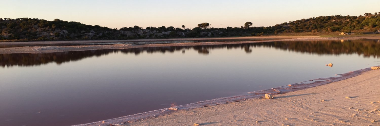 Karina Meredith banner