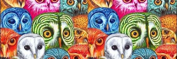 fernandopcgif's profile banner image