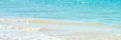 로 그 아 웃. banner