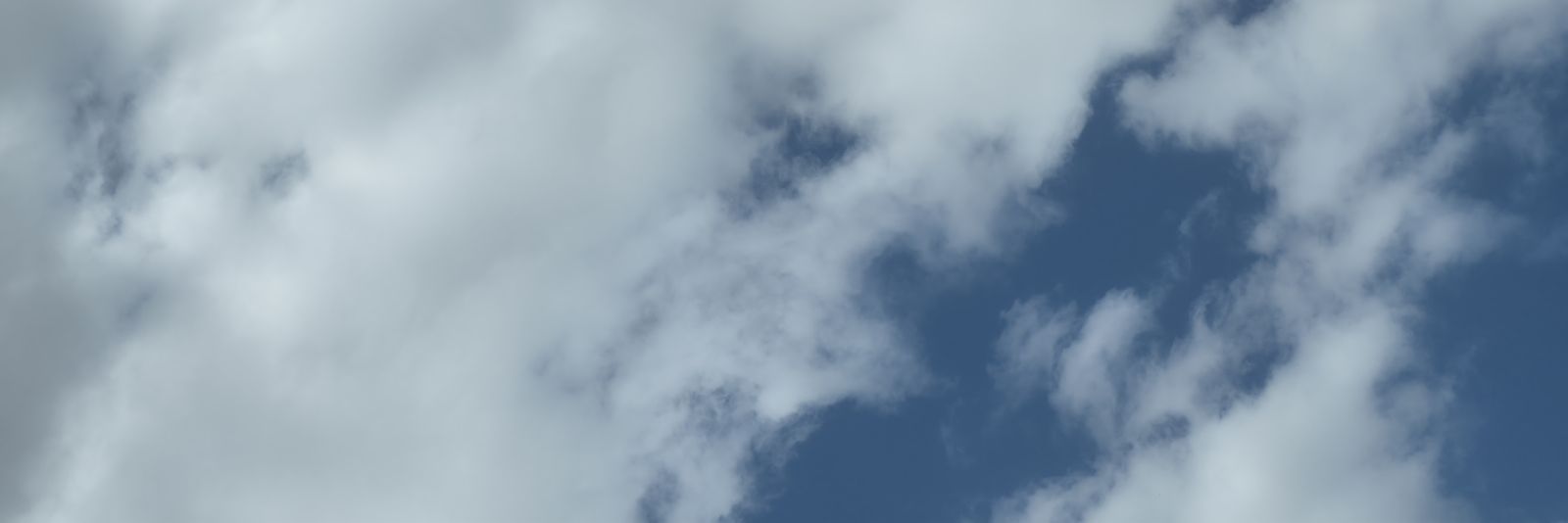 46f65db5faba469's profile banner image