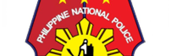 PNPLuna's profile banner image