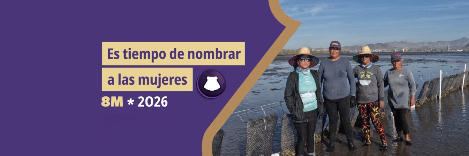 Víctor Castro banner