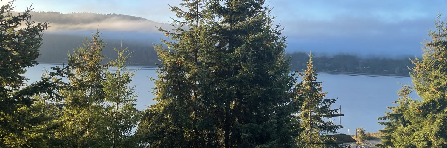 BeesonHive's profile banner image