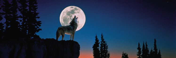 Collin_Gros's profile banner image