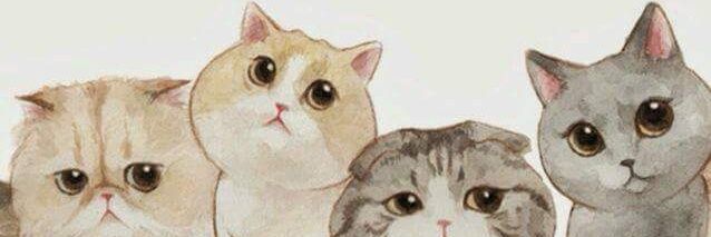 geleebeee's profile banner image