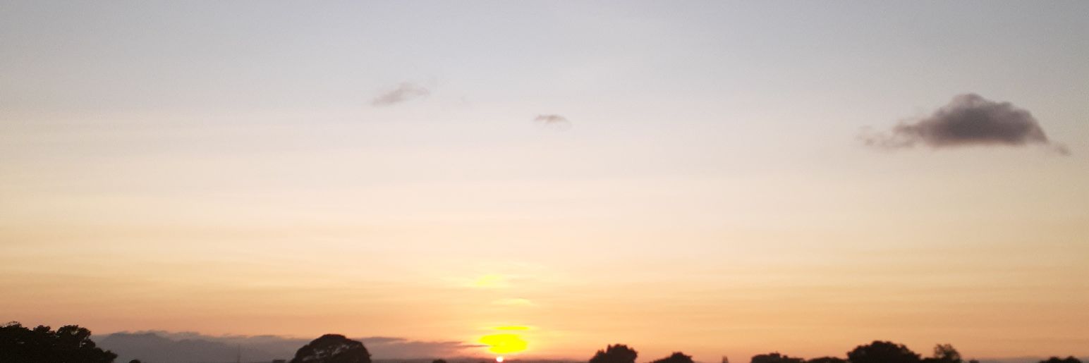 bravoeug8's profile banner image