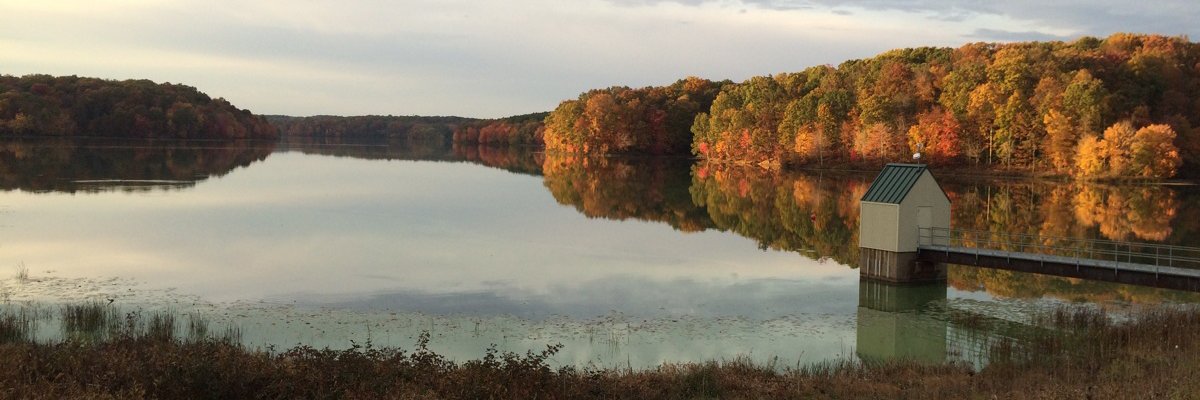 DrakeDickBC's profile banner image