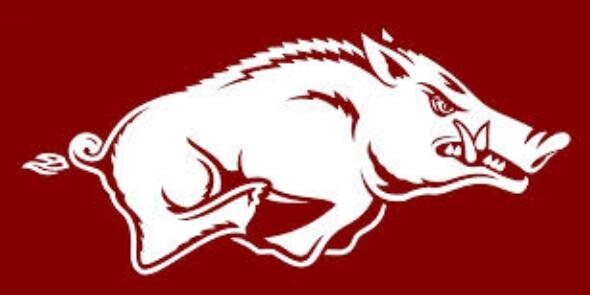 Brianne Sharp banner