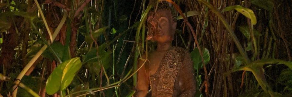 marisabelc_'s profile banner image