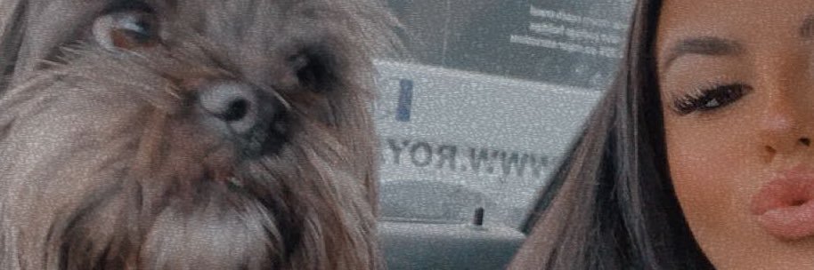 isobelwheeldonn's profile banner image