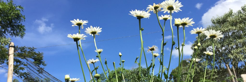 PrincesaSassy's profile banner image