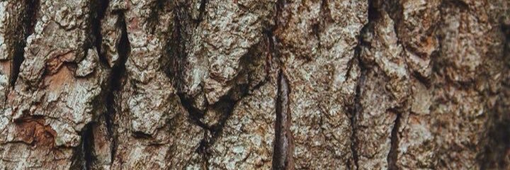 nuni12nn's profile banner image