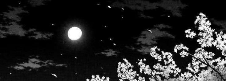 dolllunaaa22's profile banner image