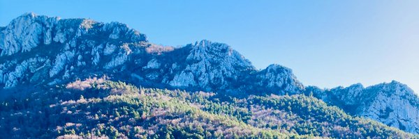 EricaIsBusy Profile Banner