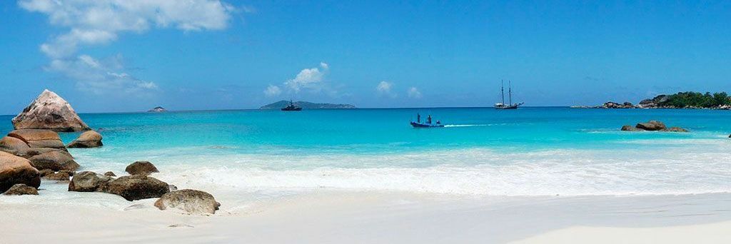 MonicaEckmann's profile banner image