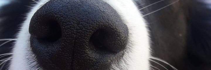 Noracottaok's profile banner image