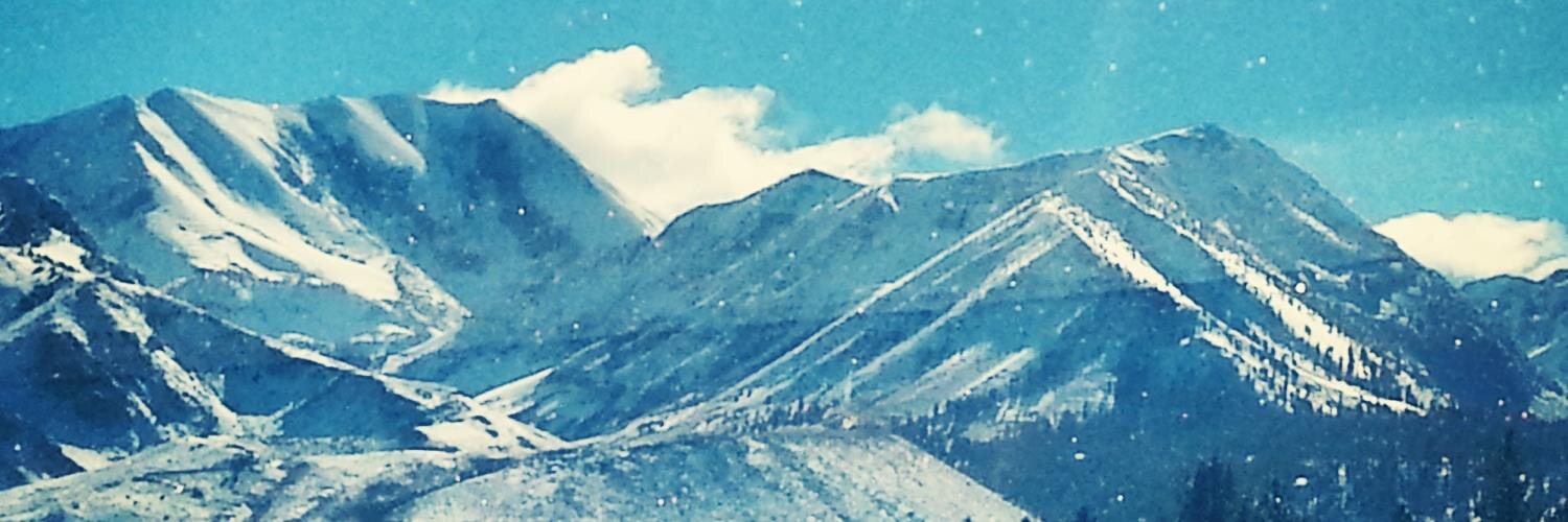 rosaliemo's profile banner image