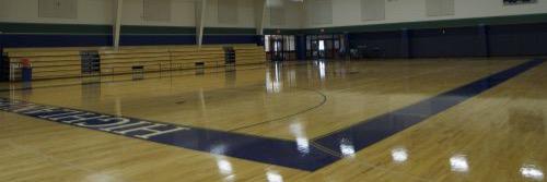 pingreegbball's profile banner image