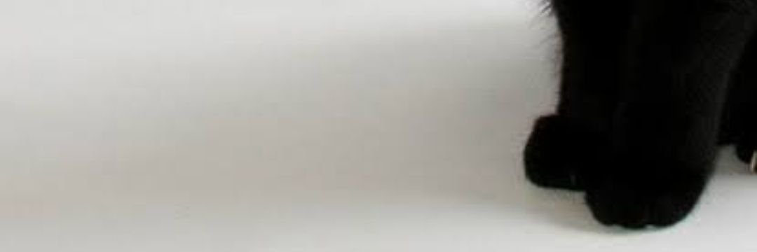 asuru_jazz's profile banner image
