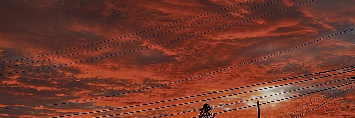 CollardAmy's profile banner image