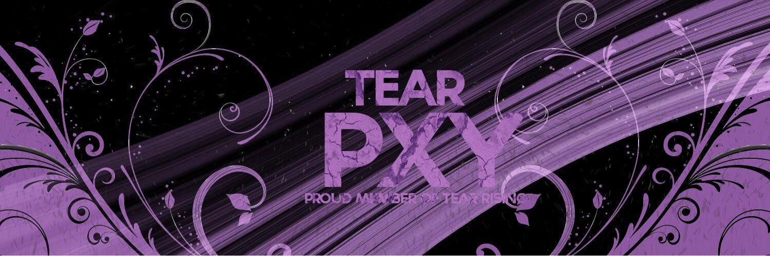 tay_retro's profile banner image