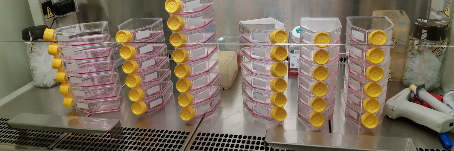 Marta Kaminska, PhD🏳️‍🌈 banner