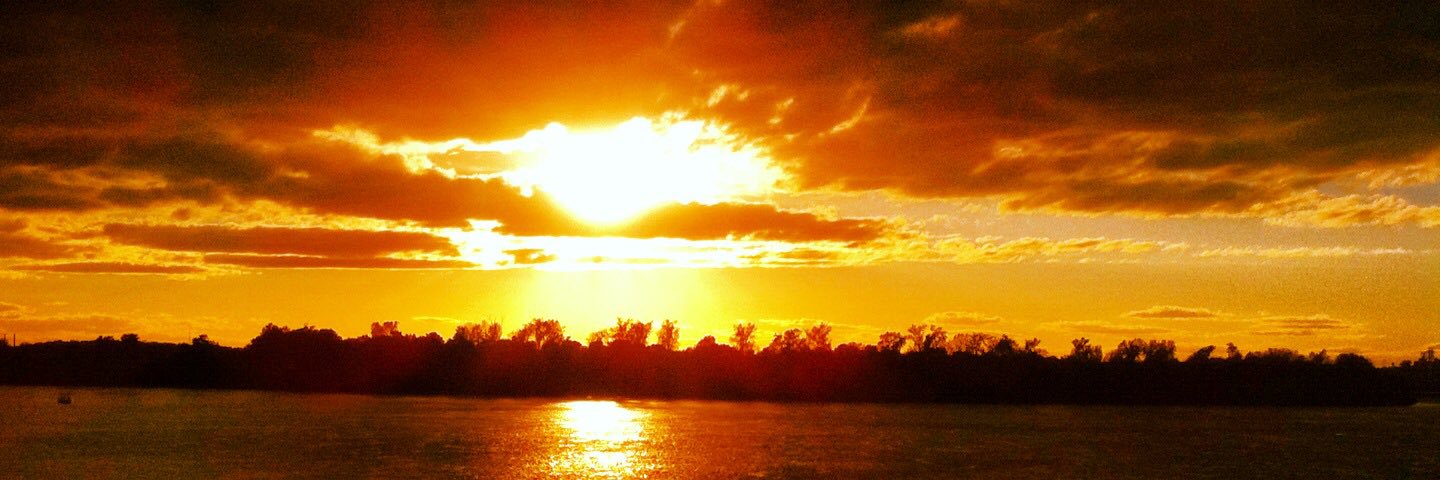 Jessica Arvin banner