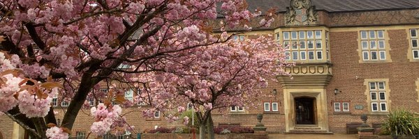 KMalaise Profile Banner