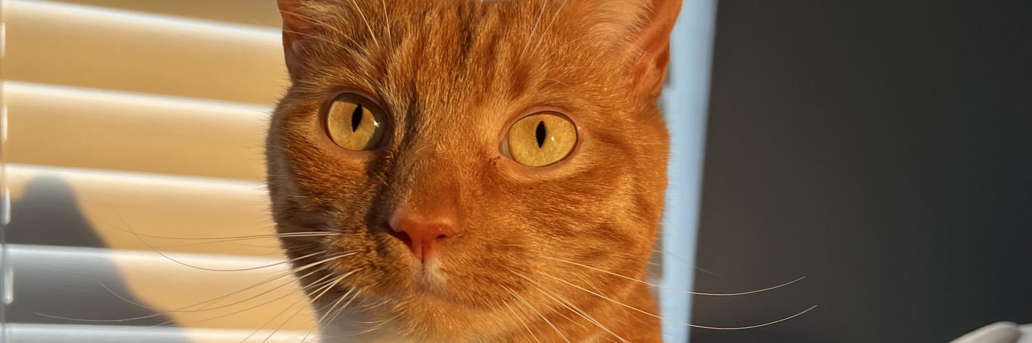 allytaylor43's profile banner image